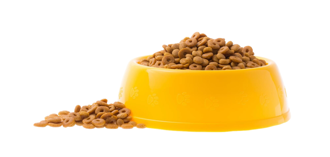Bowl of Peteets food with kibble spilling out